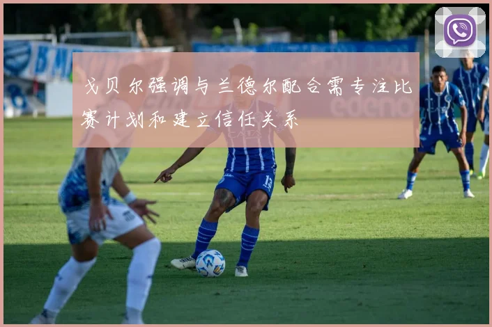 戈贝尔强调与兰德尔配合需专注比赛计划和建立信任关系